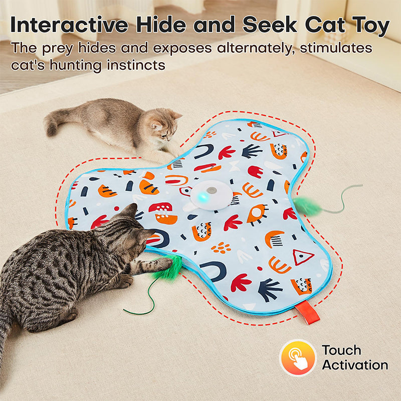 Hide and Seek Cat Toys