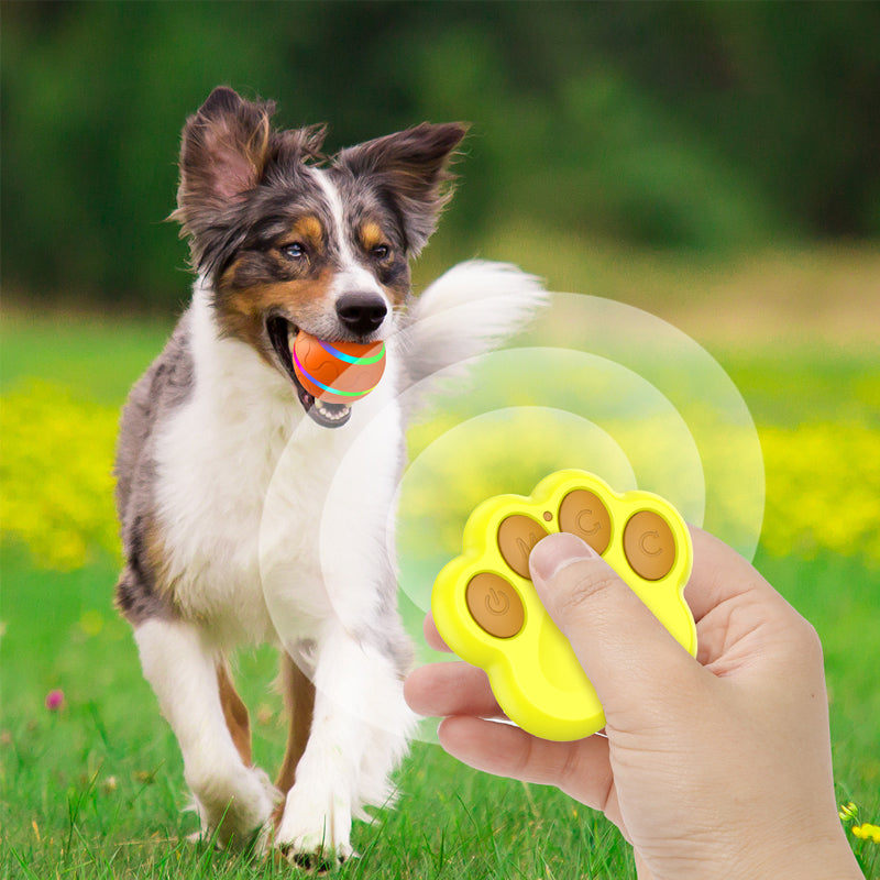 Interactive Automatic Moving Toys With LED Flash Ball