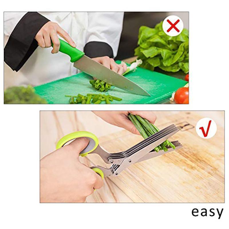 Multilayer Spring Onion Scissors